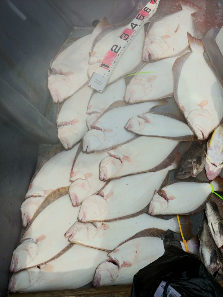 8월18일 아라2호 외수질출조