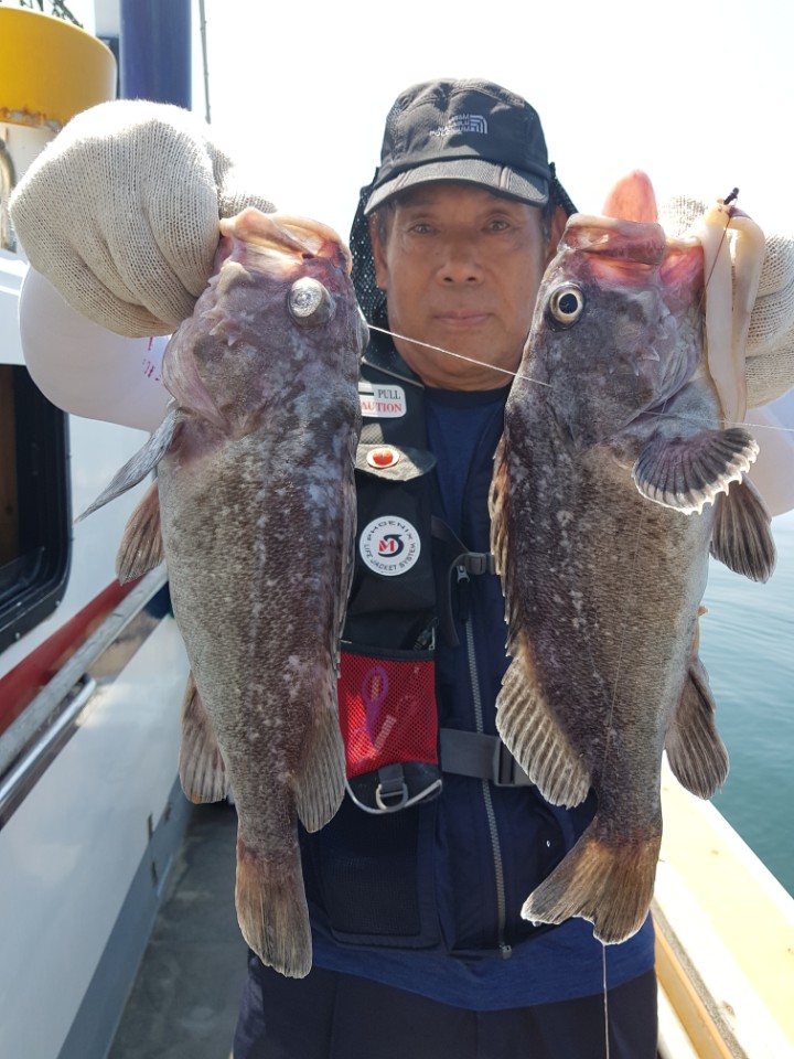 8월7일 아라호 먼바다우럭출조