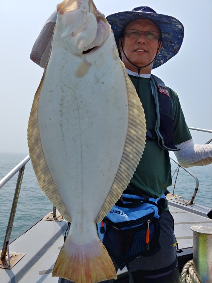 진두낚시 아라2호 근해 시간 낚시