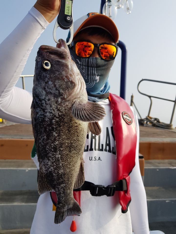 8월7일 아라호 먼바다우럭출조