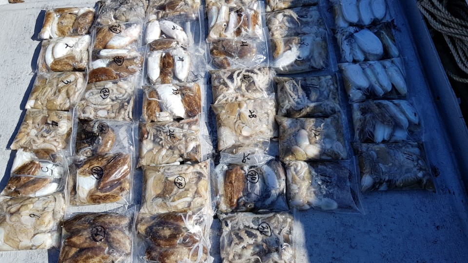 9월23일 올스타호 쭈.갑출조(1부)