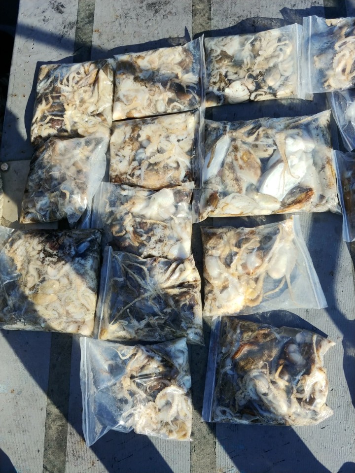 9월23일 아라2호 쭈,갑출조