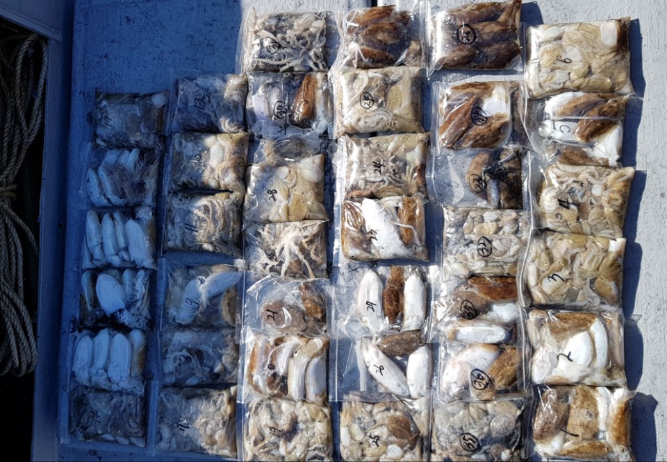 9월23일 올스타호 ㅉ,갑출조(2부)