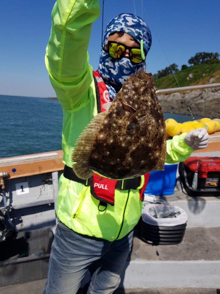 9월25일 아라호 다운샷&쭈갑