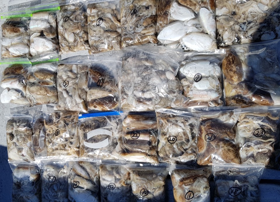 9월22일 올스타호 쭈,갑출조