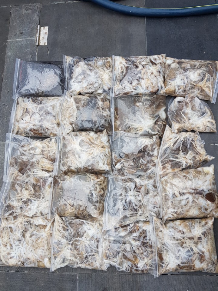 9월16일 아라호 주간쭈구미