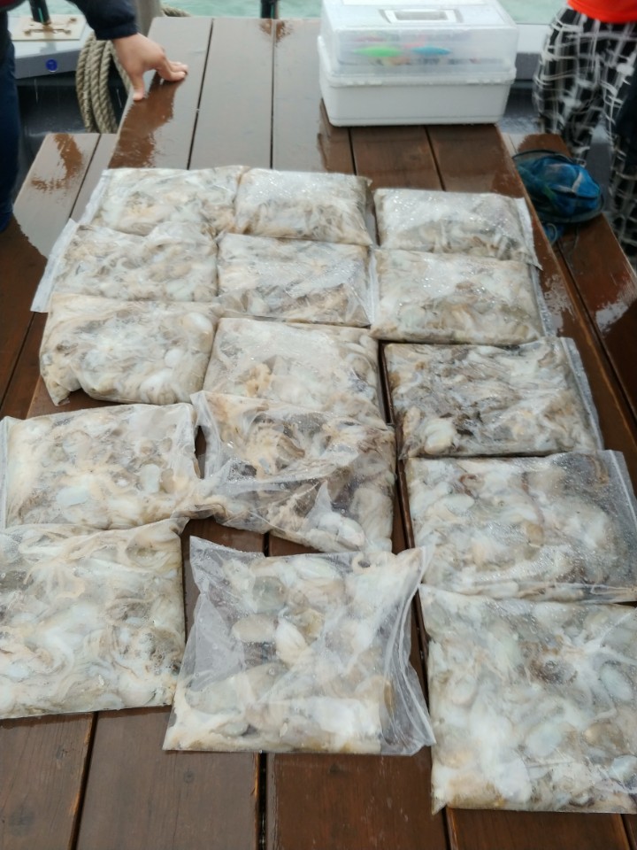 9월3일 아라2호 쭈꾸미출조