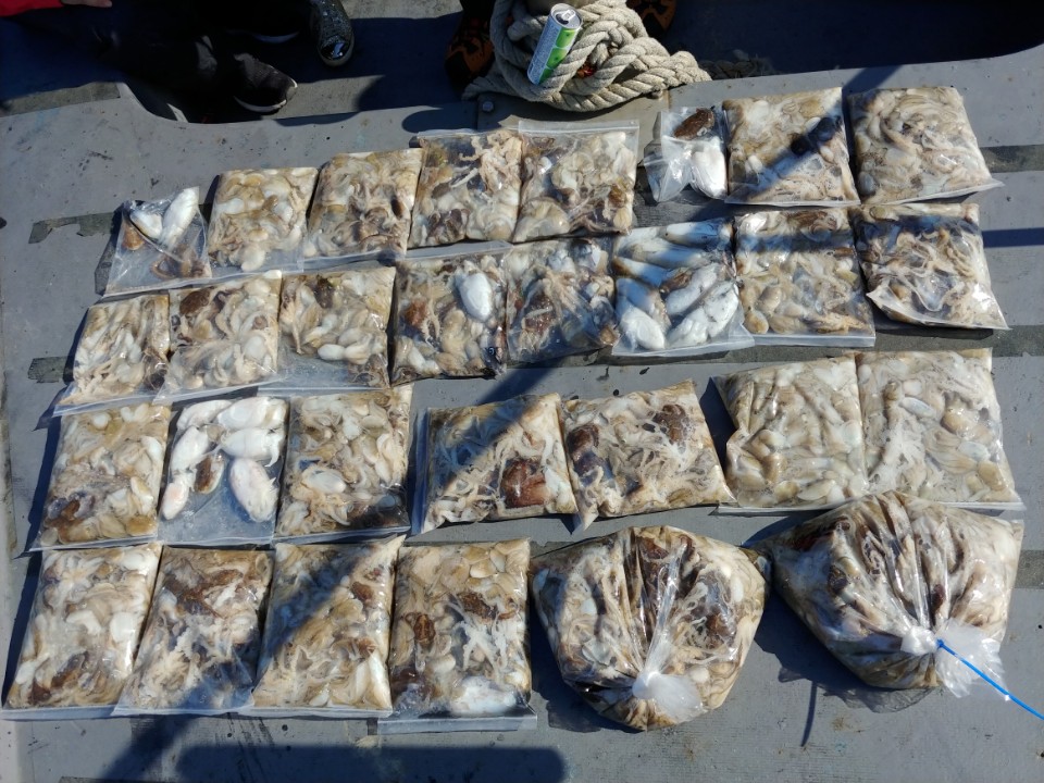 9월26일 아라2호 쭈,갑출조