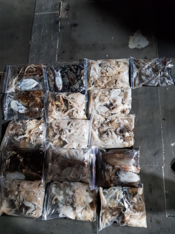 9월26일 아라호 야간쭈꾸미(14시~21시)