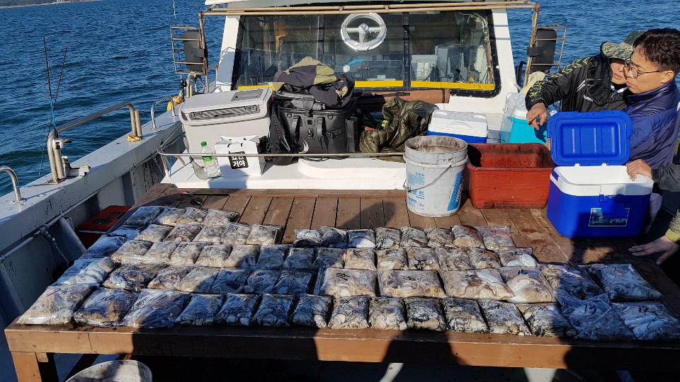 10월19일 올스타호 쭈,갑출조