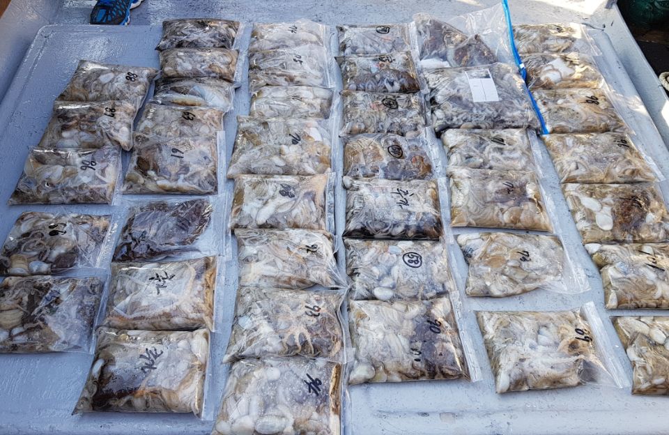 10월3일 올스타호 쭈,갑출조