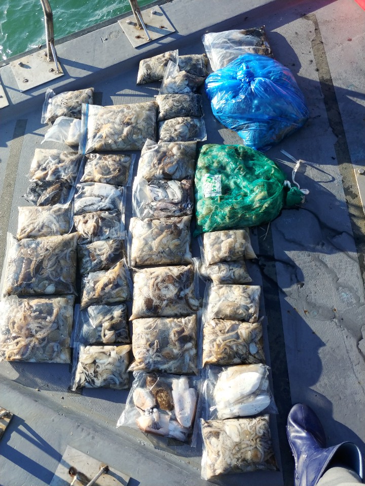 10월19일 아라2호 쭈,갑출조