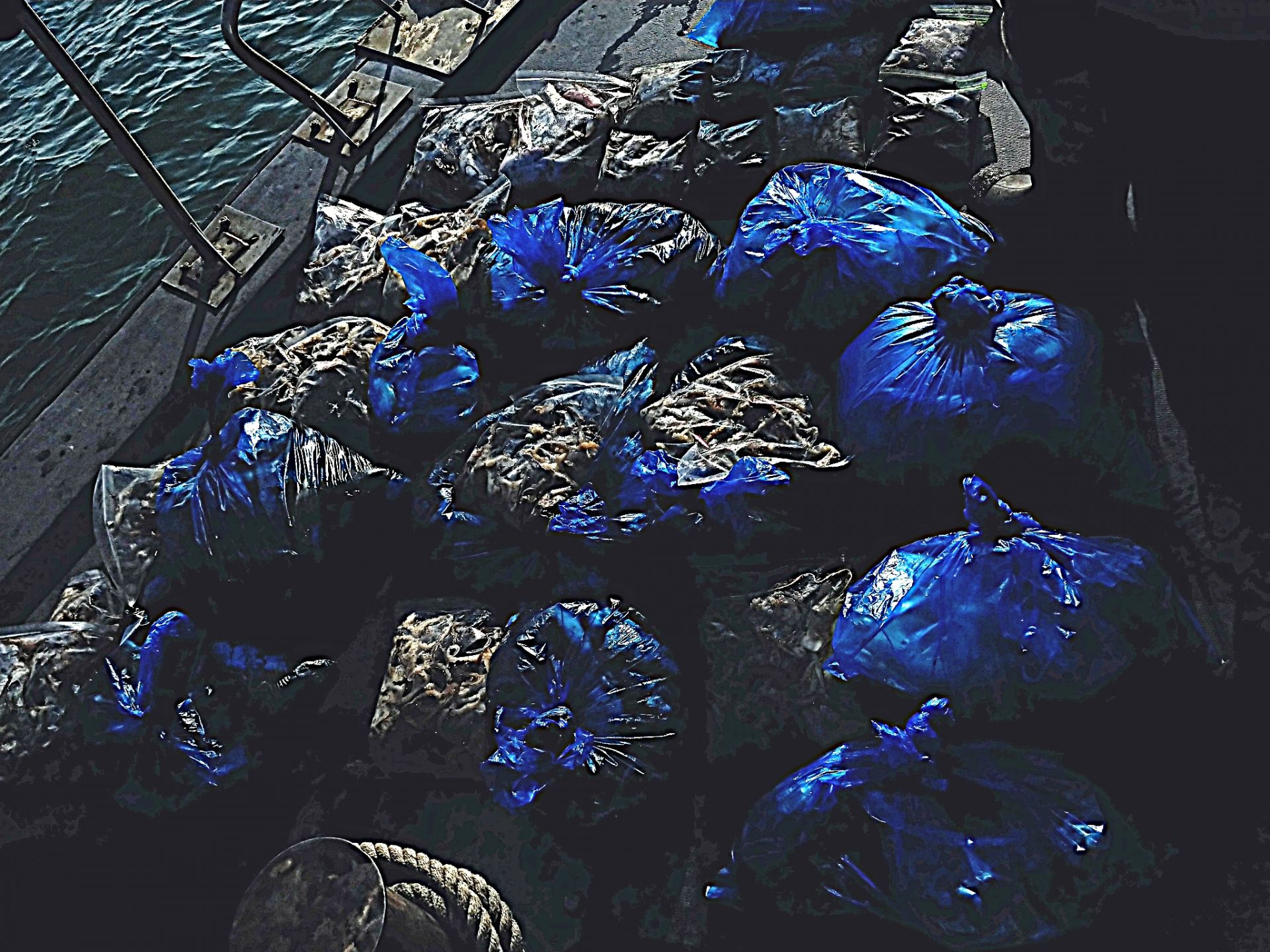 10월20일 아라2호 쭈,갑출조(대박!!)