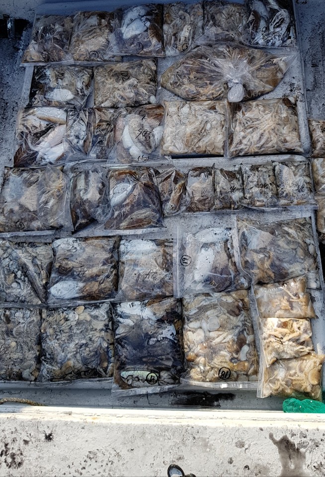 10월18일 올스타호 쭈갑출조