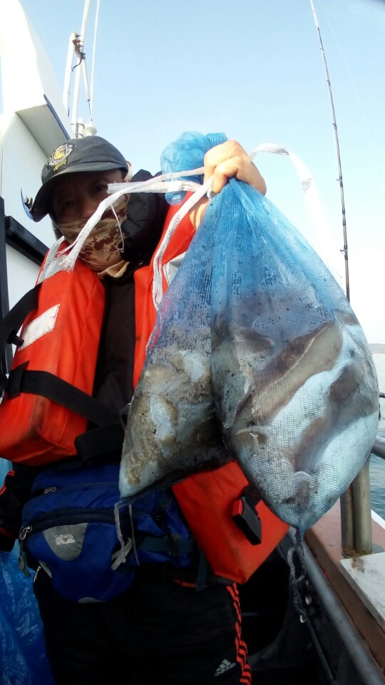 10월22일 아라호 쭈,갑출조