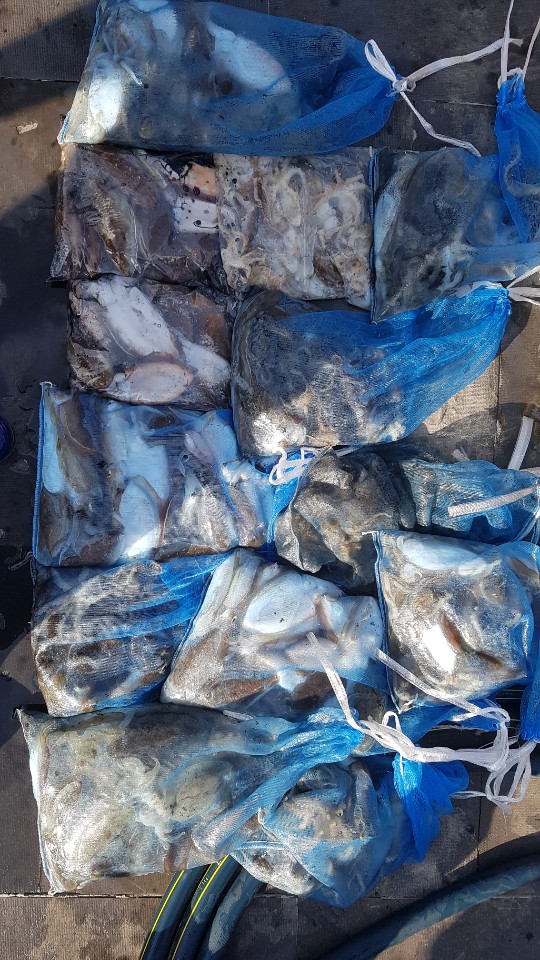 10월25일 아라호쭈,갑출조