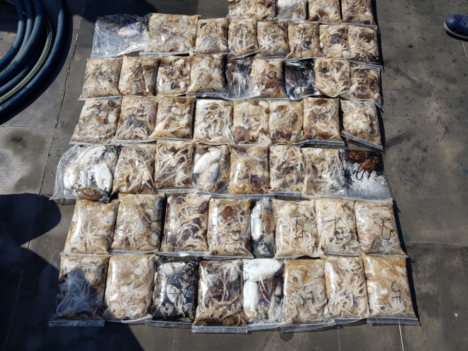 10월3일 아라호 주간쭈꾸미(04시~12시)