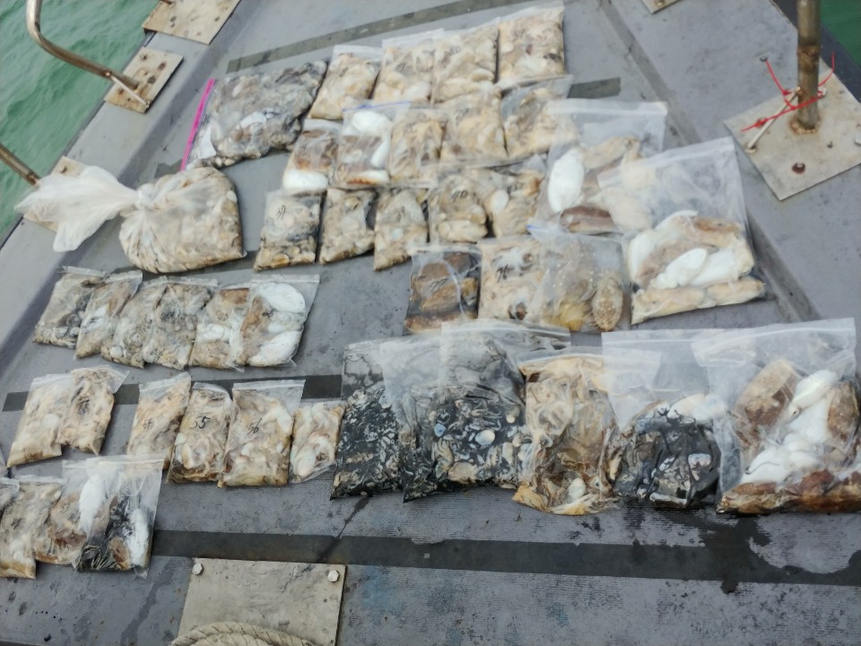 10월9일 아라2호 쭈,갑출조