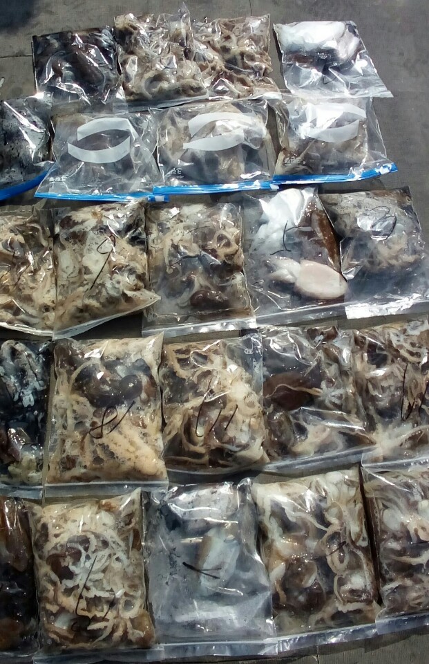 10월14일 아라호 주간쭈,갑출조(04시~12시)