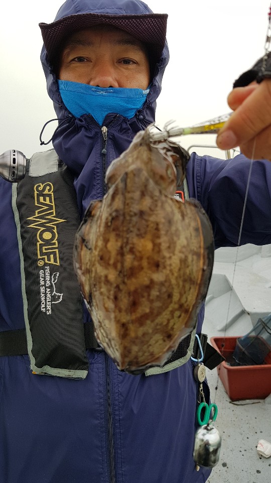 10월9일 올스타호 쭈,갑출조