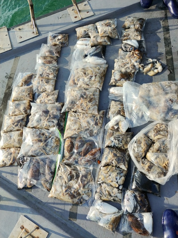 10월18일 아라2호 쭈,갑출조