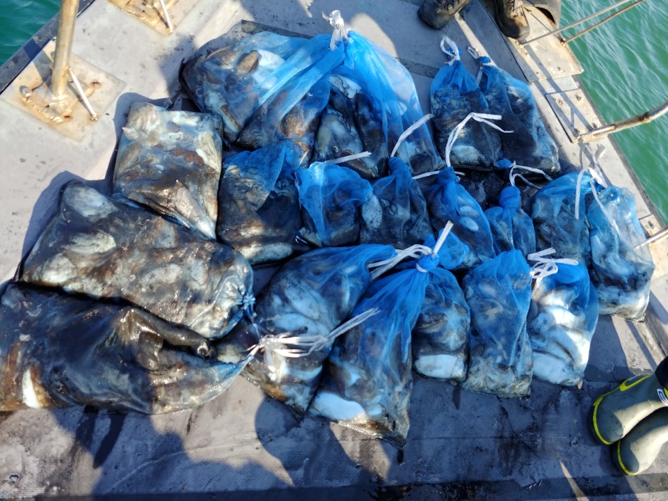 10월21일 아라2호 쭈,갑출조