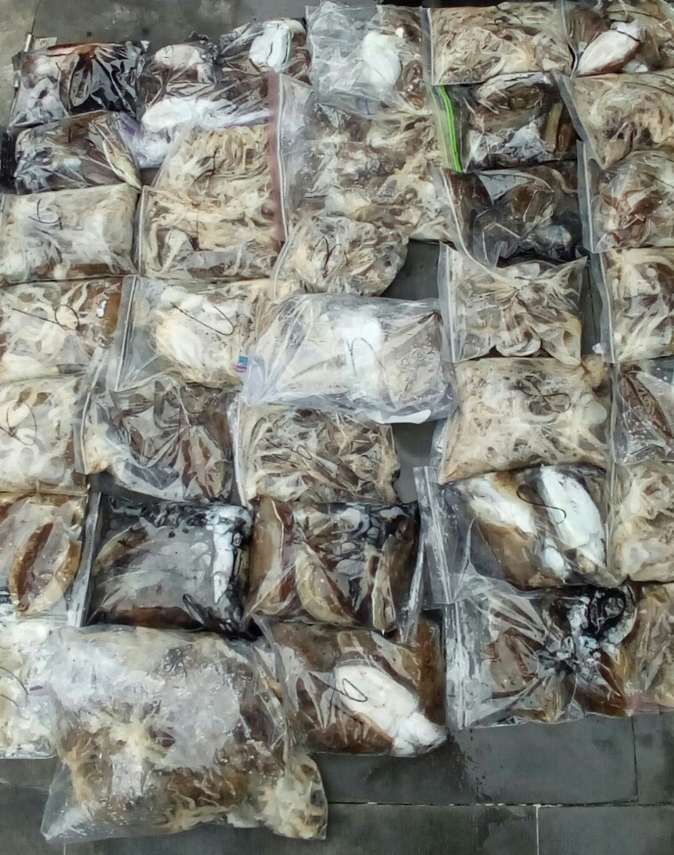 10월9일 아라호 주간쭈,갑출조(04시~12시)