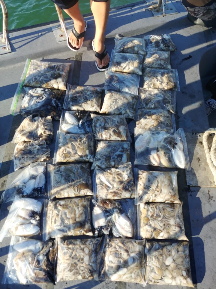 10월2일 아라2호 쭈,갑출조