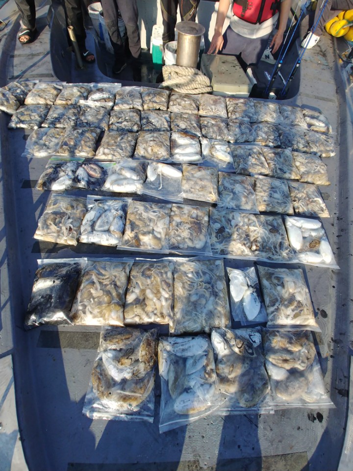 10월3일 아라2호 쭈,갑출조