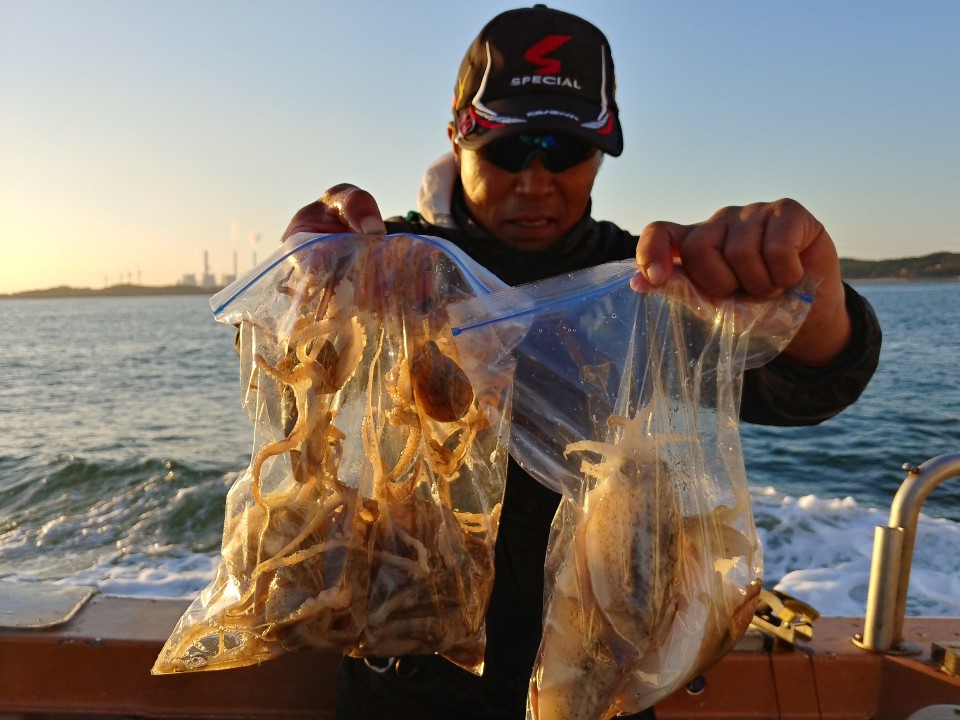 11월1일 아라호 오후쭈,갑출조