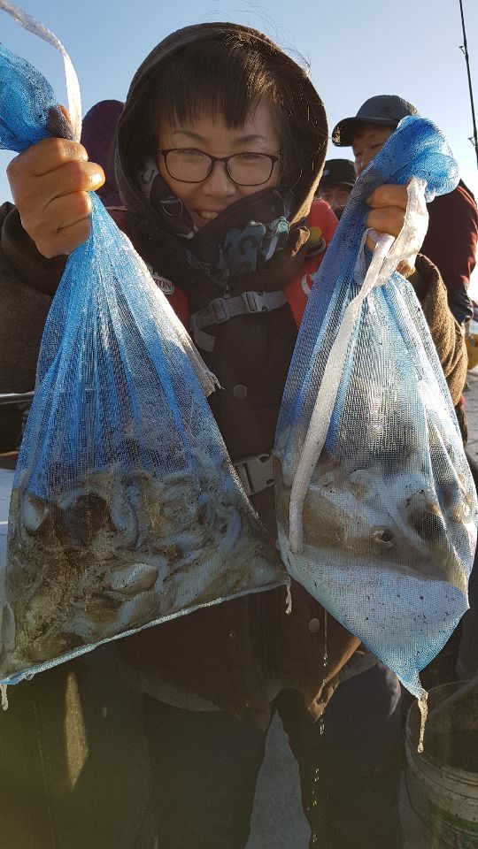 11월1일 올스타호 쭈,갑출조