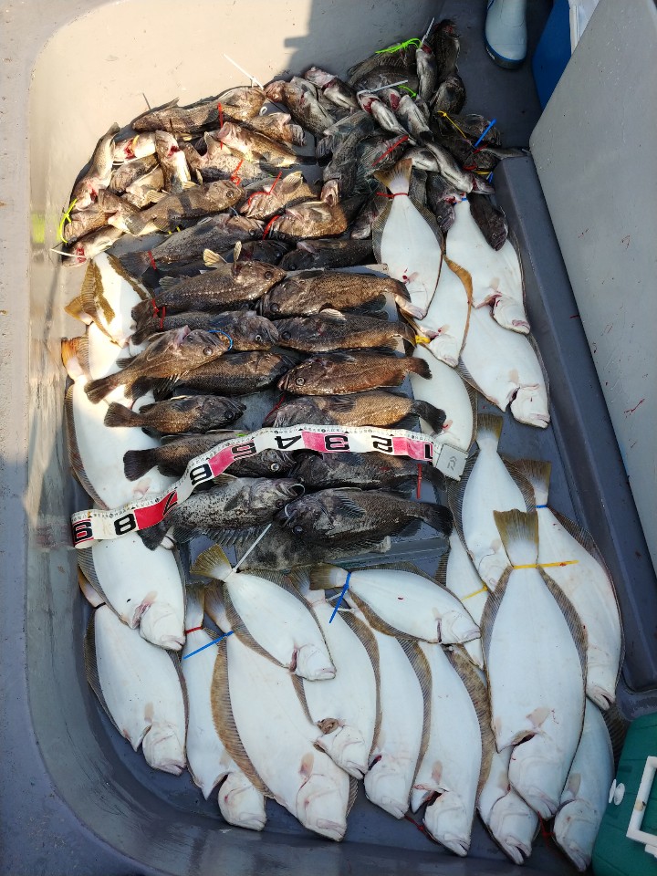 11월3일 아라2호 외수질& 다운샷