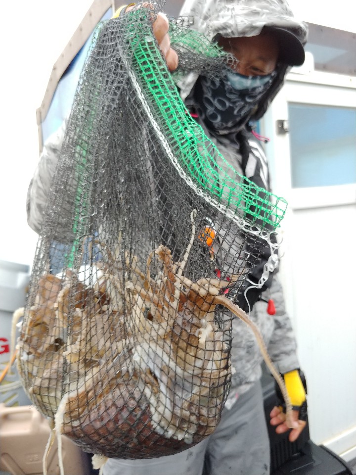 11월11일 아라2호 쭈,갑출조