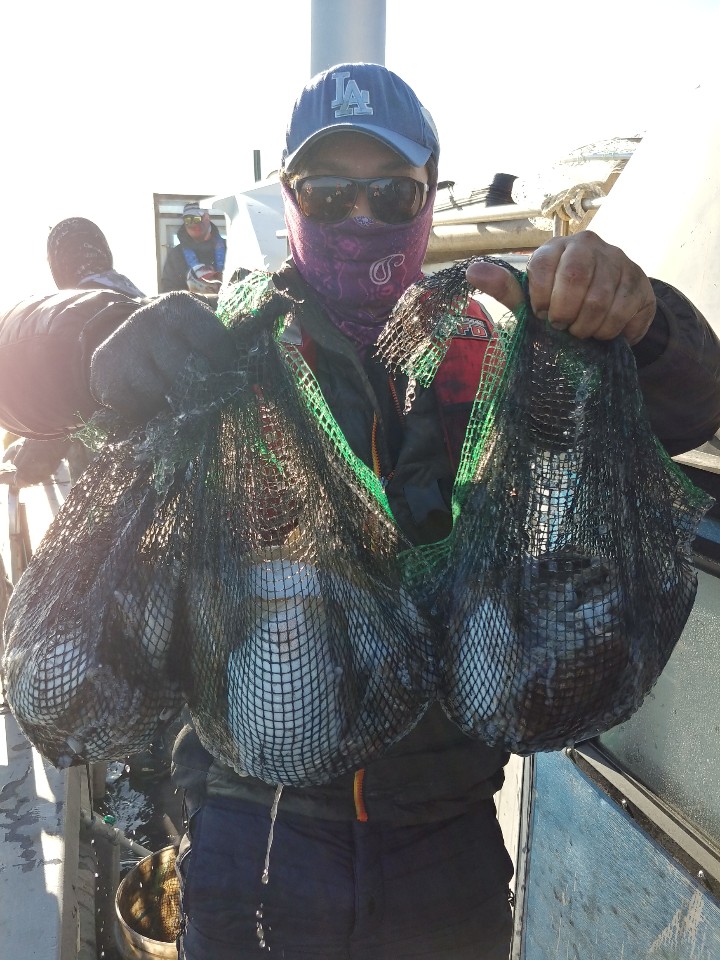 11월1일 아라2호 갑오징어출조