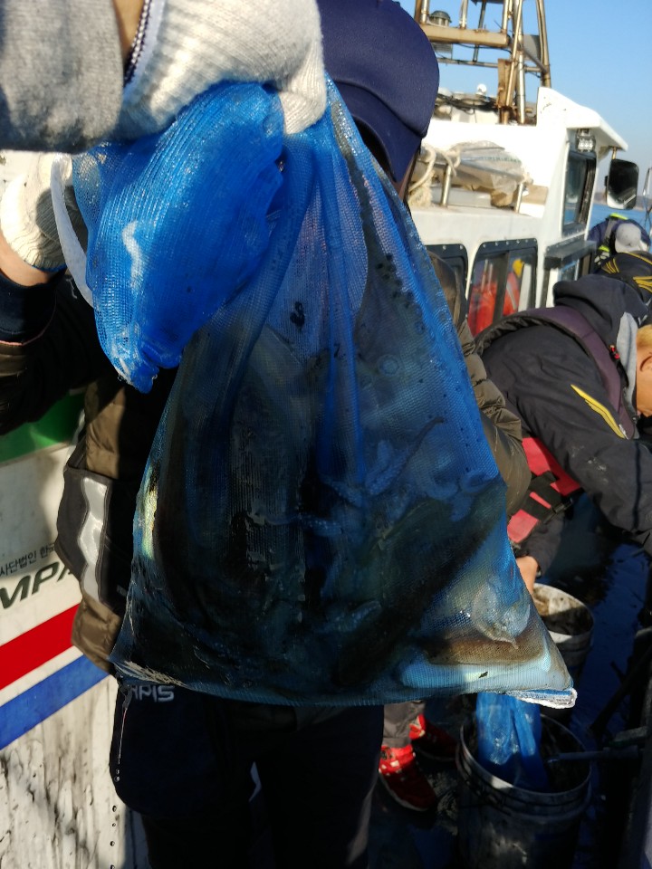 11월2일 아라2호 갑오징어출조