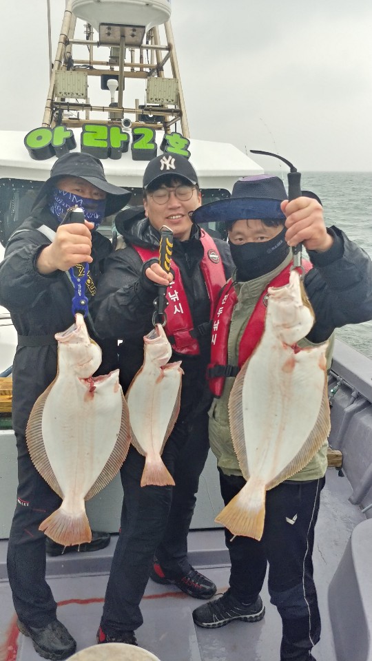 4월 26일 아라2호 광어 조황