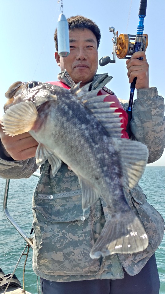 4월 3일 아라2호 근해우럭