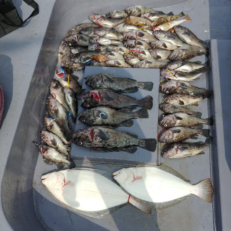 6월 28일 아라2호 외수질 조황