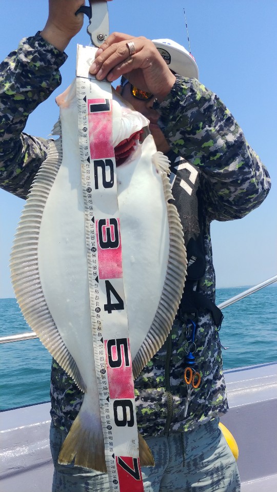 6월 11일 아라2호 광어조황