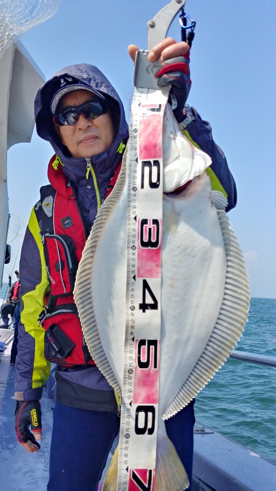 6월 15일 아라2호 광어조황