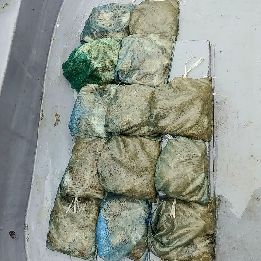 9월 20일 아라2호 쭈망태기 조황 a.k.a.대박조황