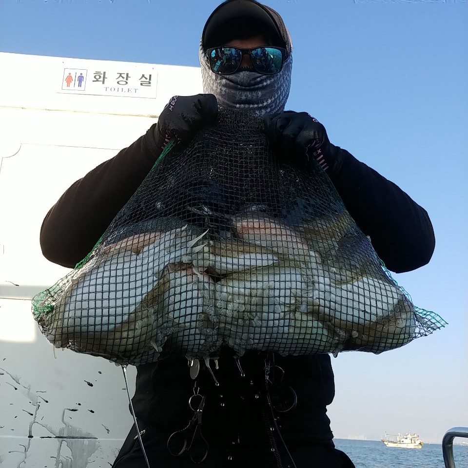 10월 19일 아라2호 갑오징어 망태기조황