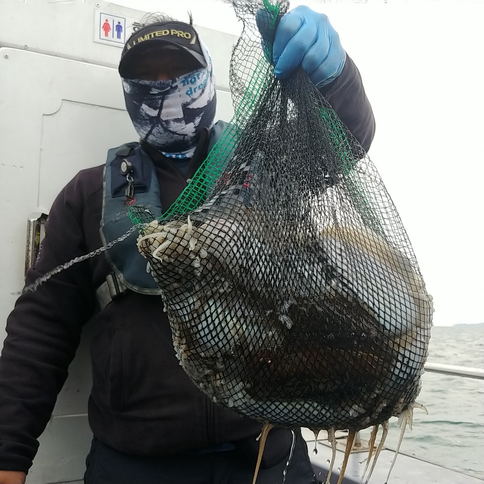 10월 25일 아라2호 갑오징어&주꾸미 조황