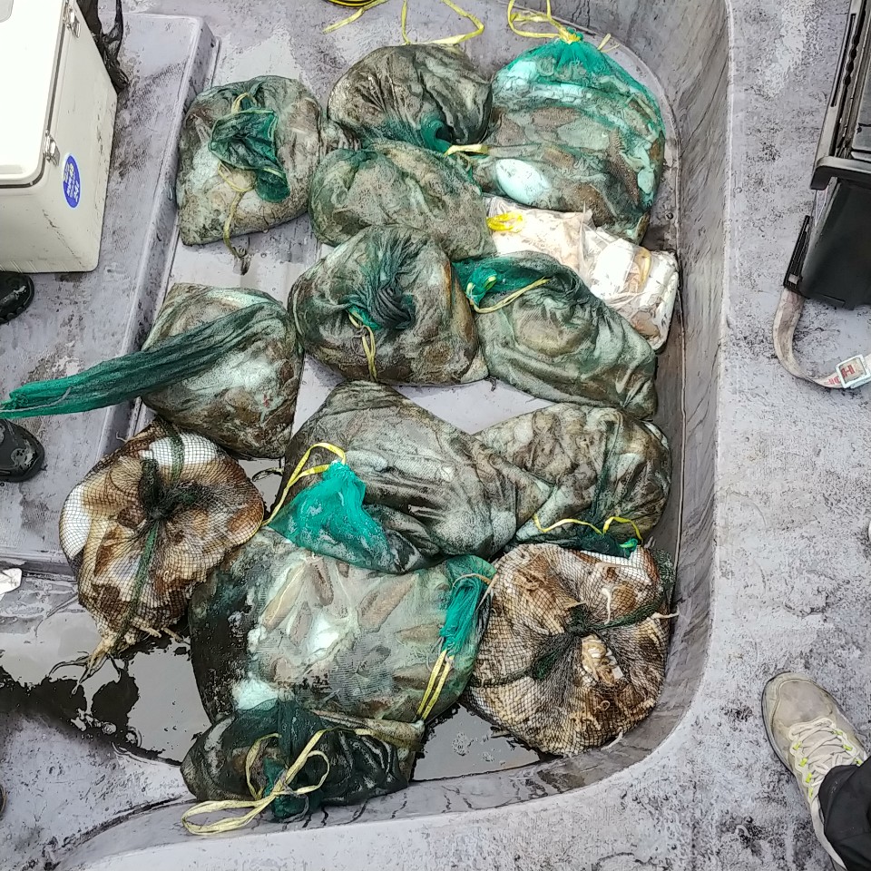 10월 23일 아라2호 갑오징어 조황