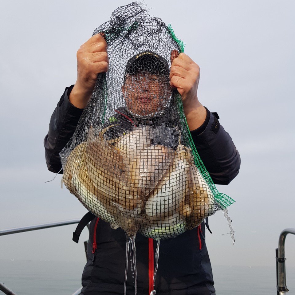 11월 2일 아라2호 갑오징어 & 주꾸미 조황