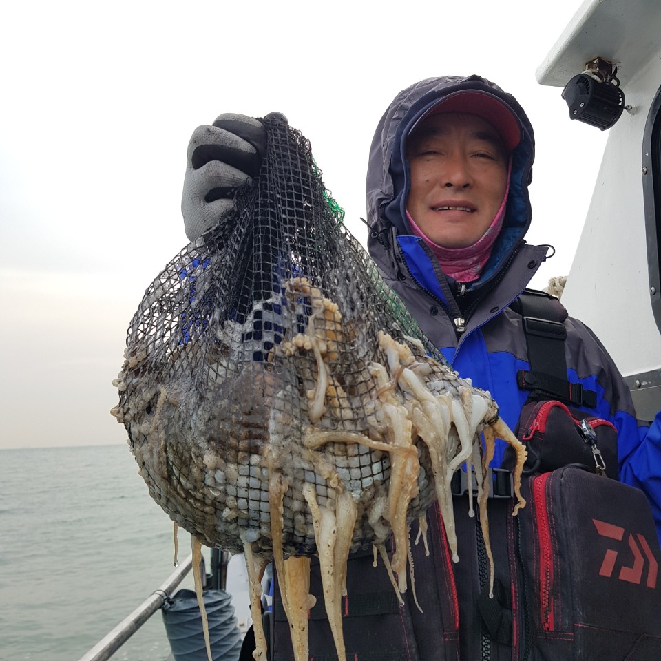 11월 21일 아라2호 쭈갑조황