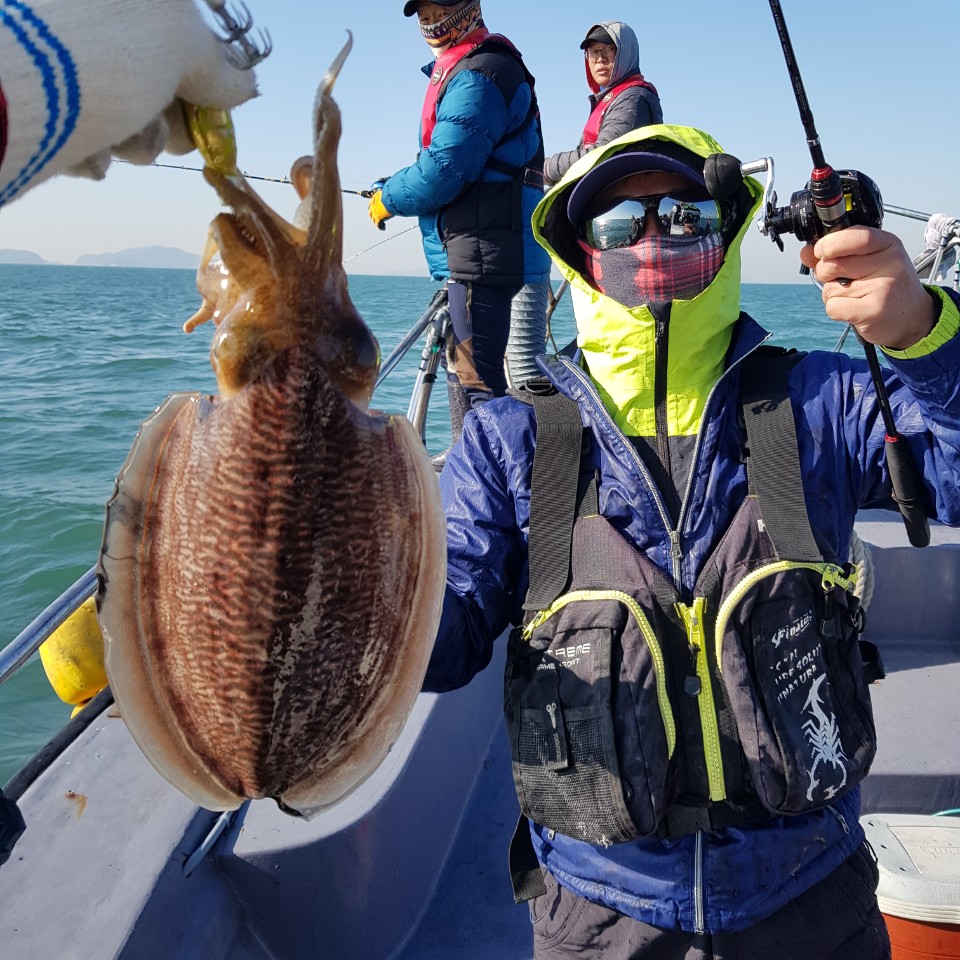 11월 22일 아라2호 갑오징어&주꾸미 조황