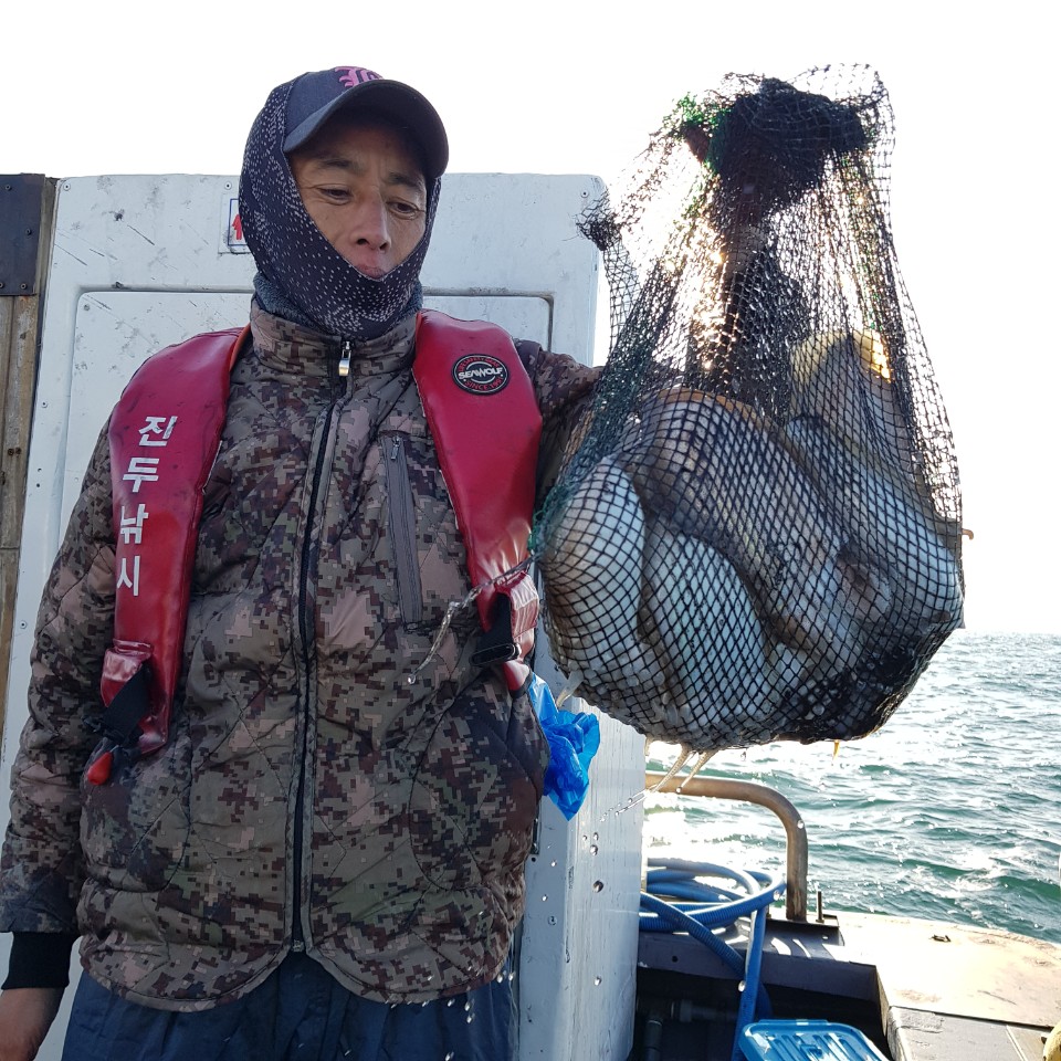 11월 8일 아라2호 갑오징어&주꾸미 조황