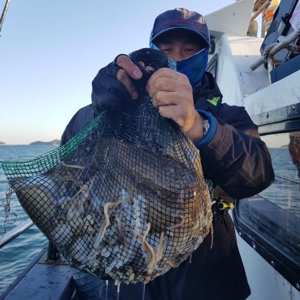 11월 9일 아라2호 갑오징어&주꾸미조황