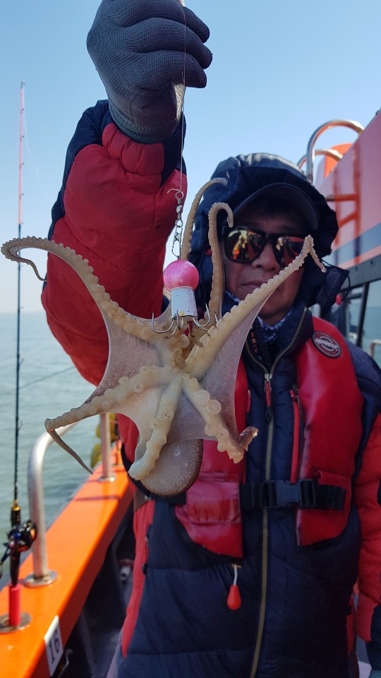 [아라2호] 3월 29일 왕주꾸미 조황